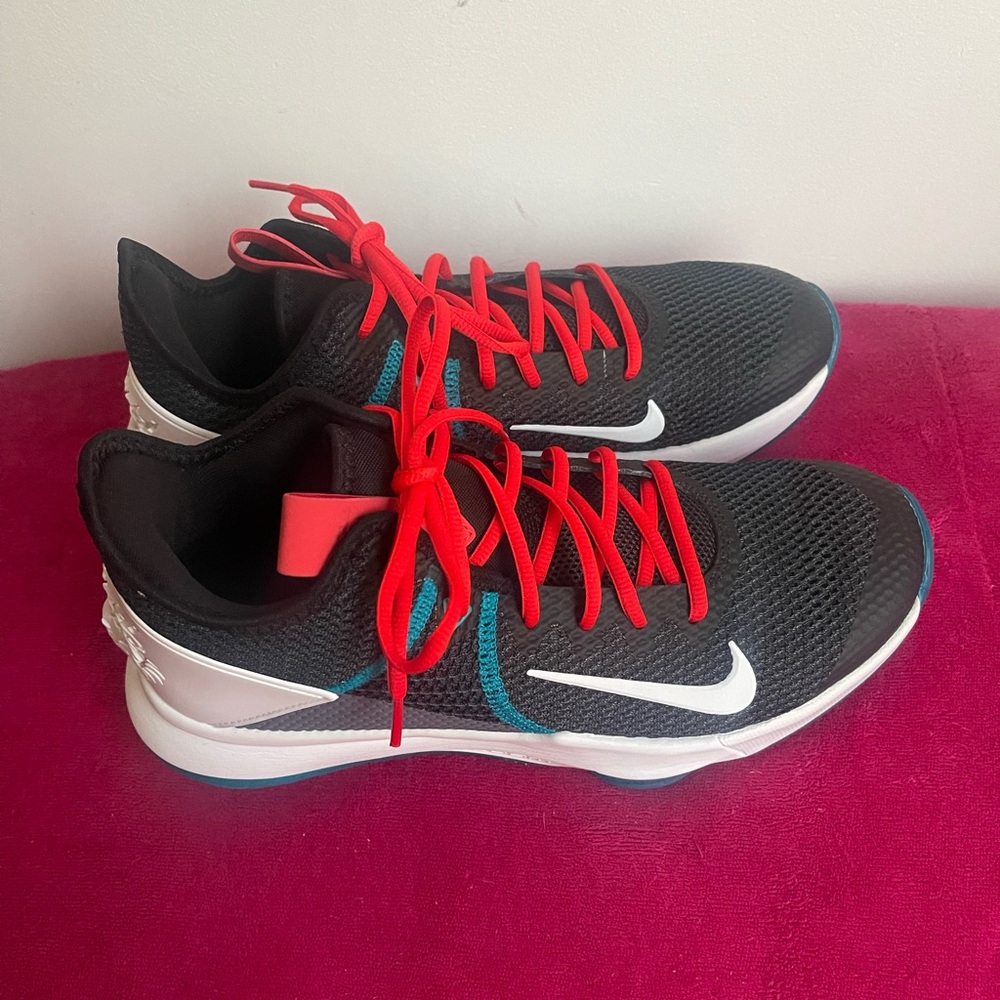 NEW Nike LeBron Witness IV basketball shoes SIZE 10.5